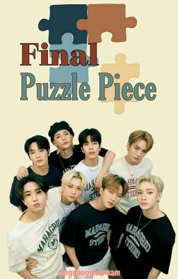 Final Puzzle Piece || SKZ 9th Member cover