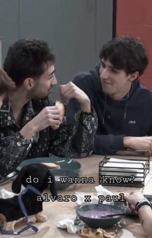 do i wanna know? ❆ ⁂ ⚹ alvaro x paul ✺ ﹡ ✵ by wolfhard91