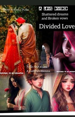 Divided Love  cover