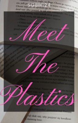 Meet the plastics (Regina x fem reader) cover