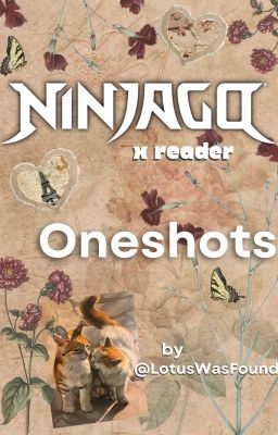 NINJAGO x Reader Oneshots cover