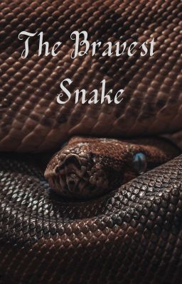 The Bravest Snake cover