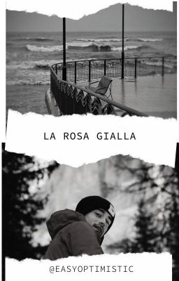 La Rosa Gialla cover