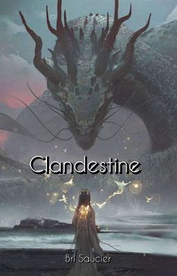 Clandestine cover