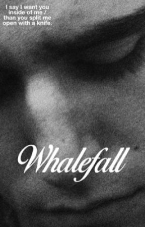 Whalefall by severnce