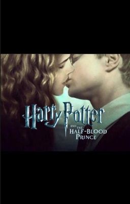 Harry and Hermione And The Half Blood Prince cover