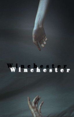 Winchester cover