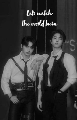 Let's watch the world burn ~ Minsung cover