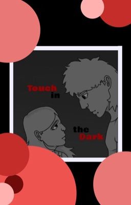 Touch in the dark cover