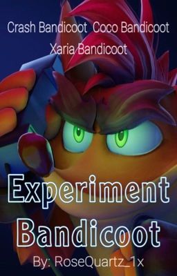 Experiment Bandicoot cover