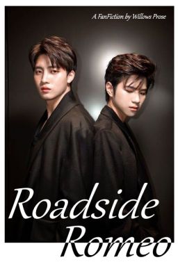 Roadside Romeo  🤍  Tin/Can cover