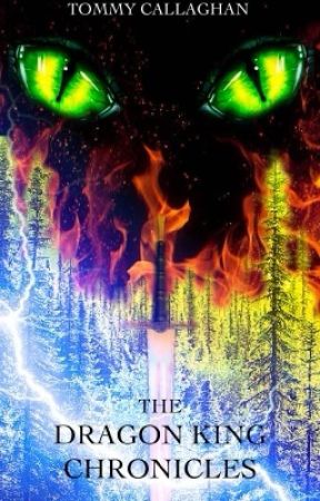 The Dragon King Chronicles: Book I - The Sword, The Huntress, and the Dragon by tommy420