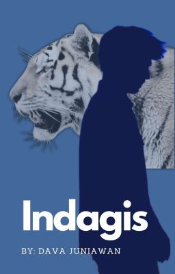 Indagis cover