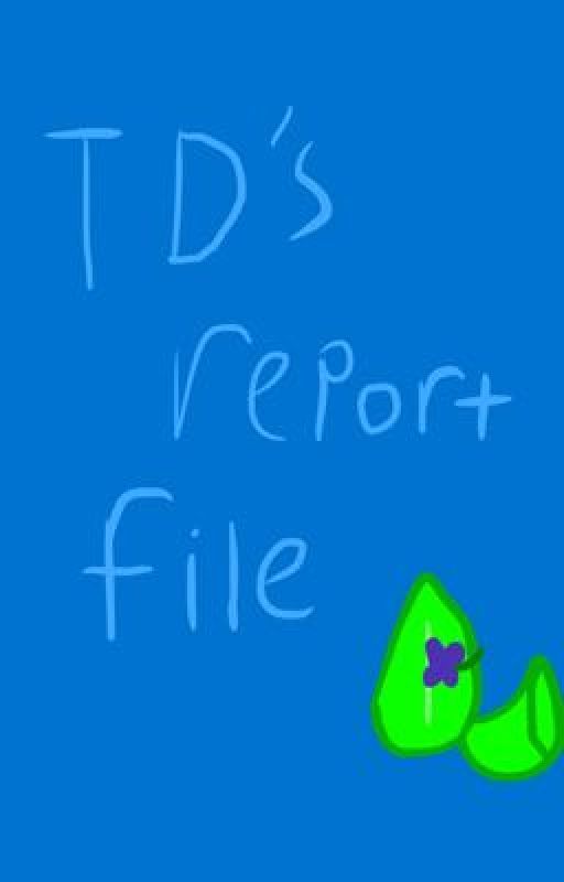 TD's report file by BFBfan2