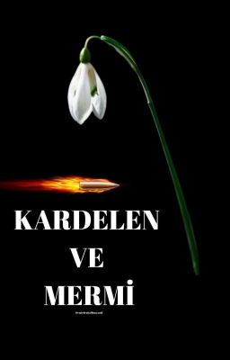 KARDELEN VE MERMİ cover