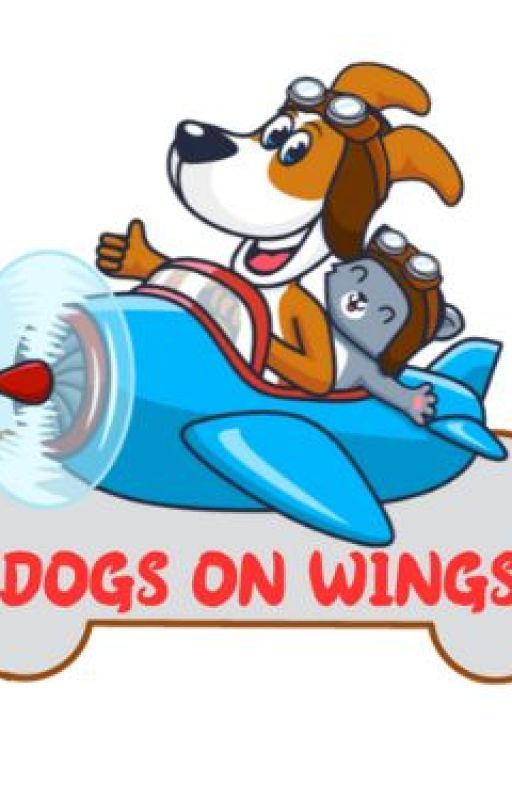 Profile - @dogsonwings by Dogsonwings