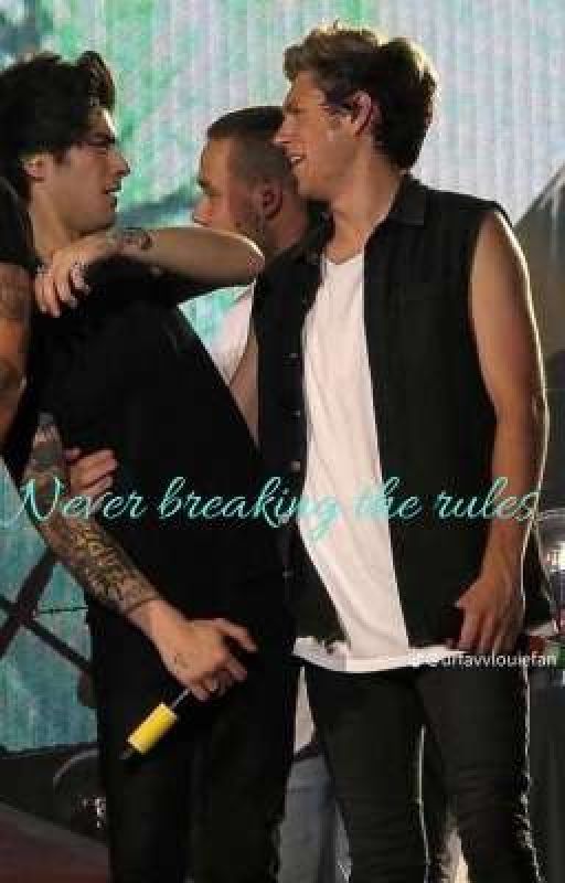 never breaking rules by 1D-fiction