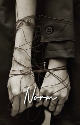 NORM (TEXTİNG) cover