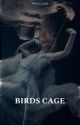 BIRDS CAGE - Jogos Vorazes by Autora_malfoy