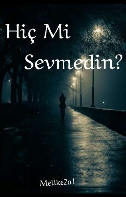 Hiç Mi Sevmedin? cover