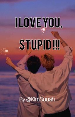 I LOVE YOU,STUPID!  cover