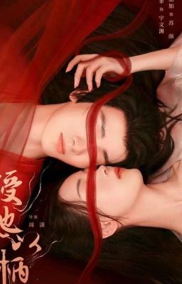 Have Soft Spot for Her / A Tale of Love and Loyalty / Shou Ta Yi Bing  cover