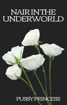 NAIR IN THE UNDERWORLD cover