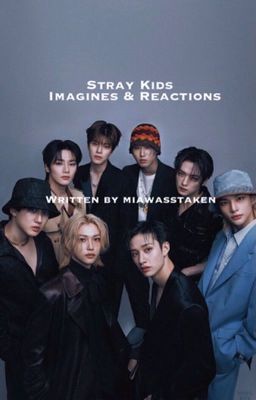 Stray Kids Imagines & Reactions  cover