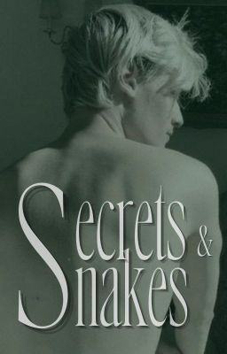 Secrets and Snakes - A Draco Malfoy Story cover