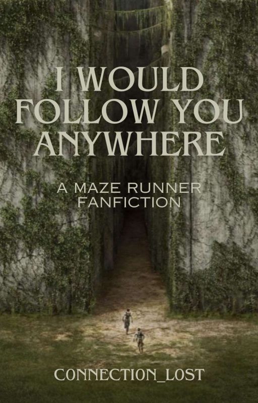 I would follow you anywhere [The Maze Runner X Reader] by C0nnecti0n_L0st