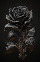 La rose noire by Roxane264