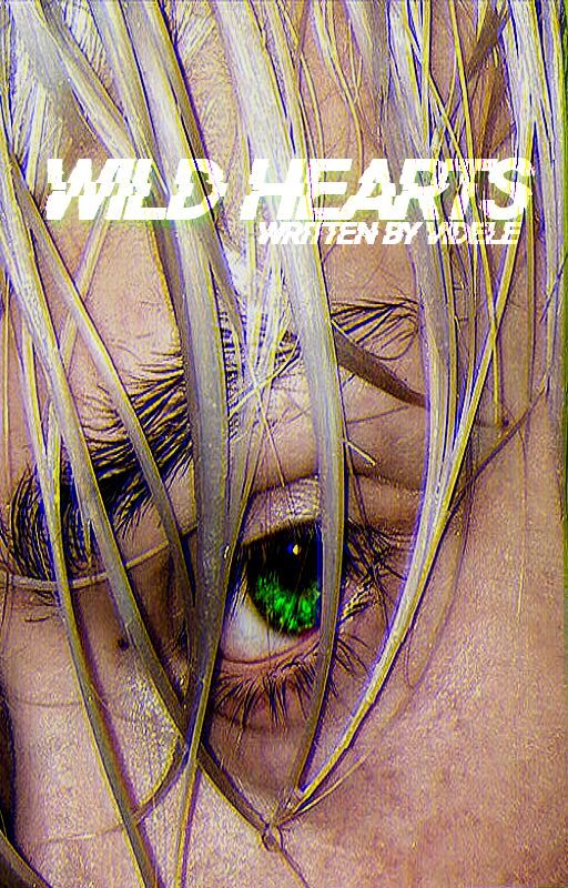 WILD HEARTS || danny phantom by videle-