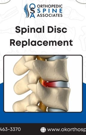 Spinal disc replacement by okorthospine