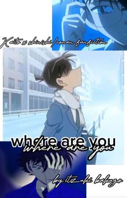 ({•Where Are You •~kaishin~•kaito x shinichi•}) cover