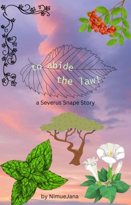 to abide the law cover