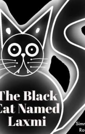 The Black Cat Named Laxmi by fanofmodernarts