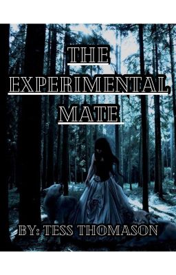 The Experimental Mate (in editing process) cover