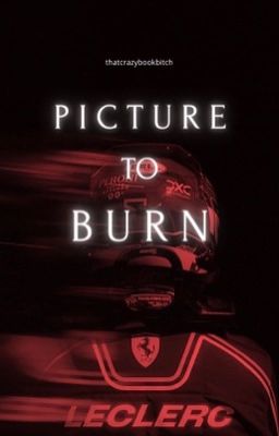 Picture To Burn [CL-16] cover