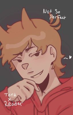 ❛❛ Not So Perfect ❞ // Tord X Reader ,, cover