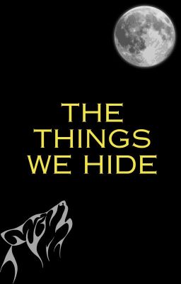 The Things We Hide cover