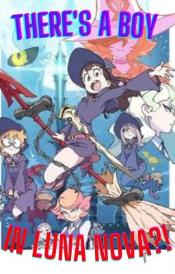 There's a Boy in Luna Nova?! | Little Witch Academia Huge Harem x Male Reader cover