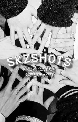 Skz Oneshots cover