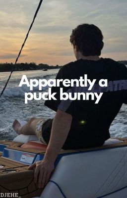 Apparently a puck bunny cover