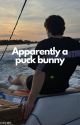 Apparently a puck bunny by _djehe_