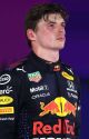 Since Day One - Max Verstappen X Male Reader  by gayf1hoe