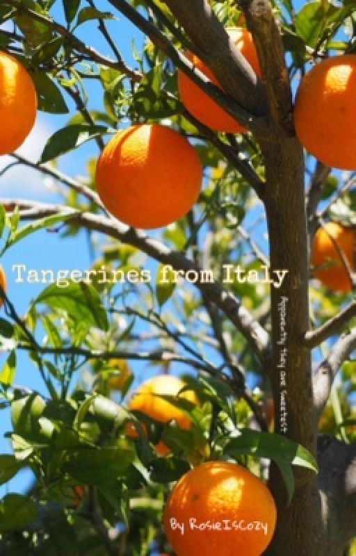 Tangerines from Italy  by RosieIsCozy