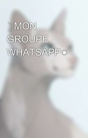 ☽︎MON GROUPE WHATSAPP☀︎︎ by Envol_du_Cygne