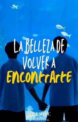 La Belleza De Volver A Encontrarte [EN CURSO] cover