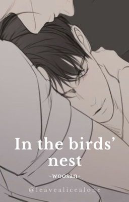 In the birds' nest • woosan cover