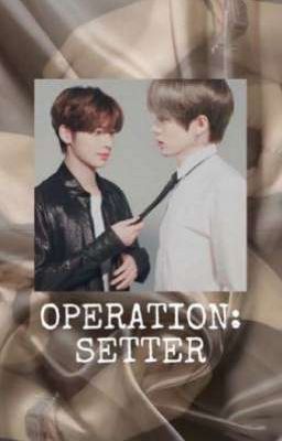 Operation: Setter - TAEGYU ✔️ cover